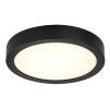 139848 1 cerne stropni led svitidlo shaun plus kulate 220mm 24w ip44