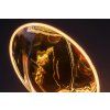 136791 5 led zarovka filament jantar g188 4w e27