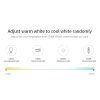 WL5 WP 8