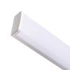 129471 2 bile listove led svitidlo 150cm 42 61w 120 3f