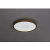 139731 2 stropni led svitidlo maurec s dekorem dreva 290mm 18w ip44 cct