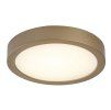 139857 1 zlate stropni led svitidlo shaun plus kulate 220mm 24w ip44