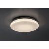 136176 3 bile stropni led svitidlo lowar kulate 240mm 12w ip44 cct