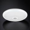 138234 5 bile led stropni svitidlo 12w s pohybovym pir cidlem