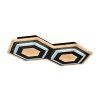 135036 1 cerne stropni led svitidlo bitsi 250x410mm 44w