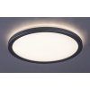 135312 2 stribrne stropni led svitidlo lambert kulate 280mm 15w ip44