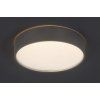 135432 2 stribrne stropni led svitidlo larcia 280mm 18w ip44