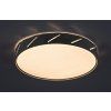 135657 2 bile stropni led svitidlo nessira 390mm 25w