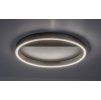135741 2 stribrne stropni led svitidlo thrac 400mm 20w