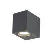 10969 AXIS GRAY O
