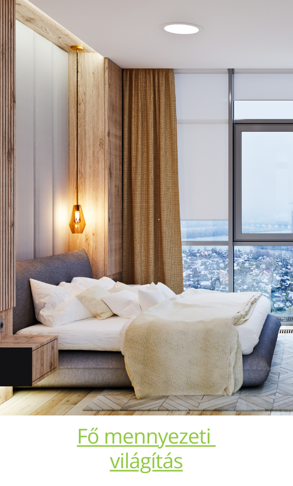 Fő mennyezeti világítás