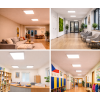 LED GPL44 40BICCT 191024 8