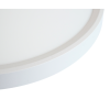 Modio white 1