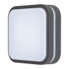 134430 2 antracitove stropni nastenne led svitidlo hamburg ctvercove 285x285mm 12w ip44