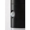 134409 4 cerne fasadni solarni led rgb svitidlo s pohybovym cidlem lutto 1w ip44