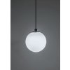 134805 5 smart tuya cerne listove zavesne led svitidlo 100mm litrack pend 1f 5w cct