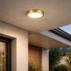 139857 5 zlate stropni led svitidlo shaun plus kulate 220mm 24w ip44