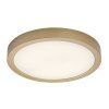 139860 1 zlate stropni led svitidlo shaun plus kulate 300mm 30w ip44