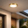 139860 5 zlate stropni led svitidlo shaun plus kulate 300mm 30w ip44