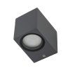 10969 AXIS GRAY P
