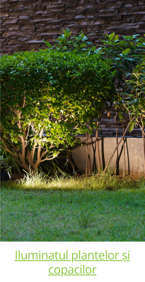 Osvětlení rostlin a stromů