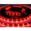 Bandă LED 4,8W/m fără capac (culoare portocaliu)