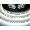 Bandă LED extra lungă 4,8W/m 24V fără protecție IP20 până la 25m dintr-o bucată (Culoare lumină alb cald)