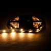 129969 2 rgb cct led pasek 12 5w m 24v bez kryti ip20