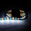 129969 8 rgb cct led pasek 12 5w m 24v bez kryti ip20