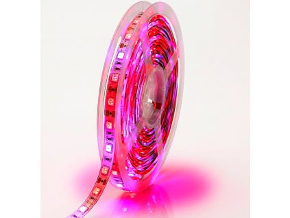 led pasik grow pestovanie rastlin