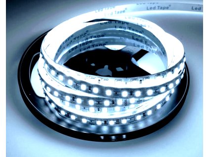 ledpasik9.6wzimnabiela