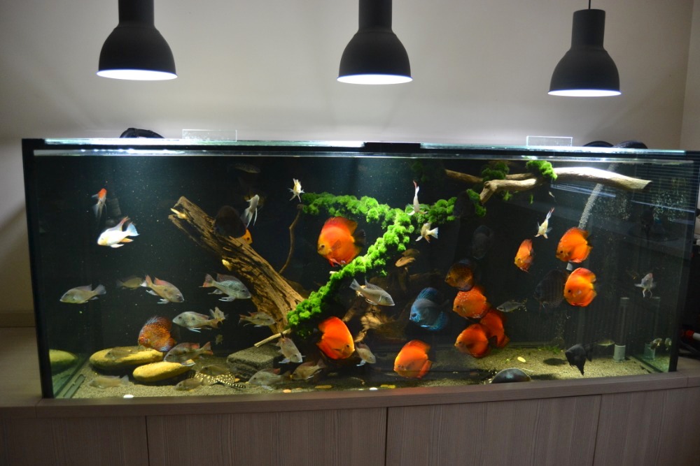 LED osvětlení Akvárium Doubrava 3