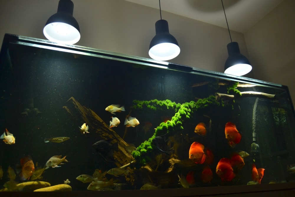 LED osvětlení Akvárium Doubrava 4