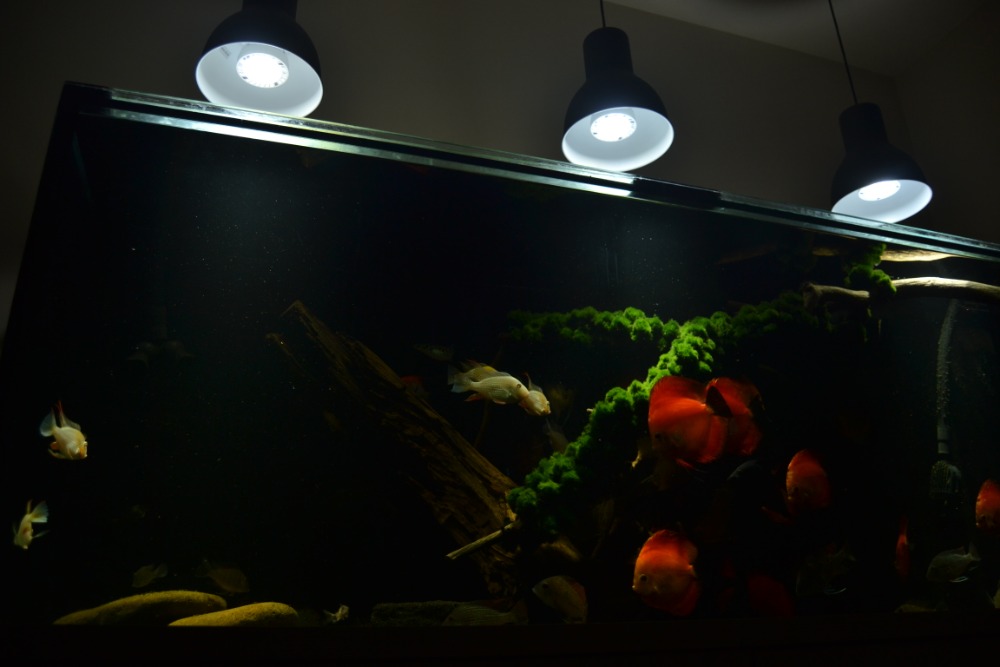 LED osvětlení Akvárium Doubrava 5