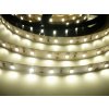 LED pásek SB3 300 studená bílá 12W/m 12V
