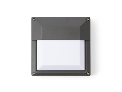 R12566 279354