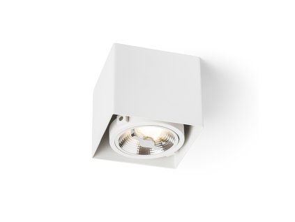 RENDL R13361 JAMES LED přisazené svítidlo, downlight matná bílá