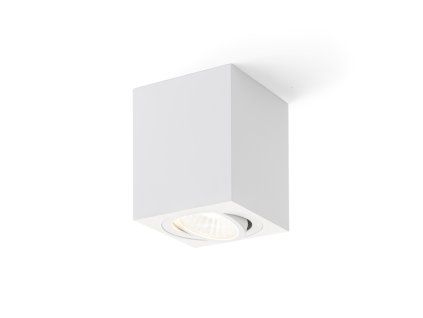 RENDL MAYO SQ stropní výklopná bílá 230V/700mA LED 9W 36° 2700K (Barva Bílá)