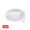 SMART Tuya LED svítidlo ZULU 48W CCT kulaté bílé (Varianta SMART Tuya LED svítidlo ZULU 48W CCT kulaté bílé)