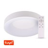 T-led - SMART Tuya LED svítidlo ZULU 60W CCT kulaté bílé