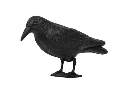 Havran plastová 3D maketa na plašení ptáků RAVEN ISO 0783, 40cm
