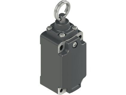 pim 2552840 1