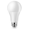 LED žárovka ecoPLANET - E27 - A60 - 15W - 1500Lm - neutrální bílá