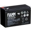 Fiamm 12 FGH 36 s