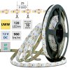 MCLED Pásek LED SMD2835 UWW, 120LED/m, 14W/m, 980lm/m, IP20, DC 12V, 10mm, 50m