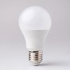 54388 2 zarovka e27 a60 15w cw eco light