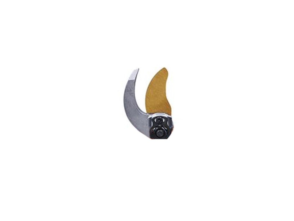 rnzn01 nc