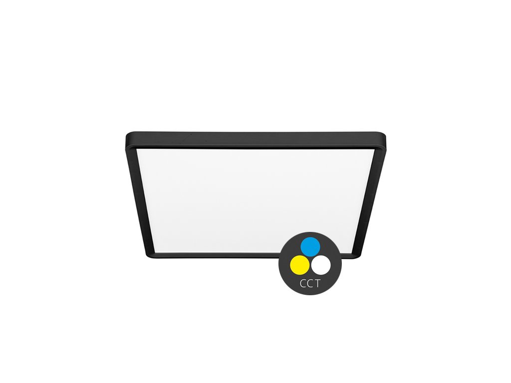 306 2W008S CCT 24W CR web punc