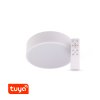 SMART Tuya LED svítidlo RENDO 24W CCT kulaté bílé - SMART Tuya LED svítidlo RENDO 24W CCT kulaté bílé