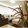 239 0W141 IMAGE